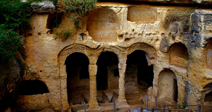 KURBAN BAYRAMINA ÖZEL GAP TURU