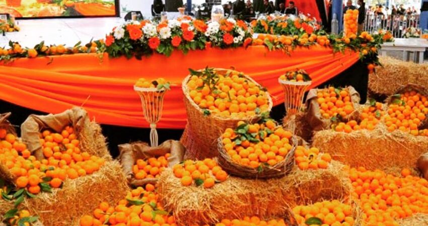 Adana Portakal Çiçeği Festivali Mersin & Tarsus Turu