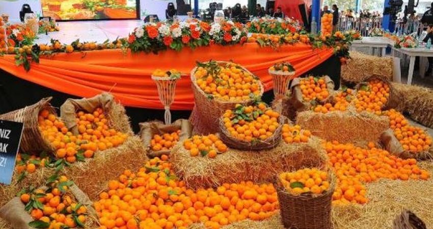 Adana Portakal Çiçeği Festivali