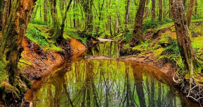 TRAKYA TURU '' EDİRNE KIRKLARELİ İĞNEADA LÜLEBURGAZ ''