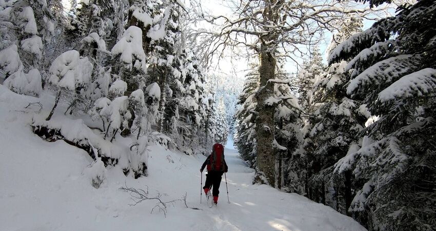 BURSA ULUDAĞ KAYAK TURU HAFTASONU