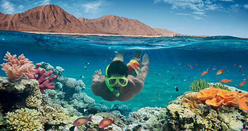 Sharm El Sheikh Turu(Ramazan Bayramı)