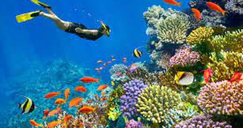 Sharm El Sheikh Turu(Ramazan Bayramı)