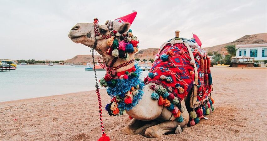 Sharm El Sheikh Turu(Ramazan Bayramı)