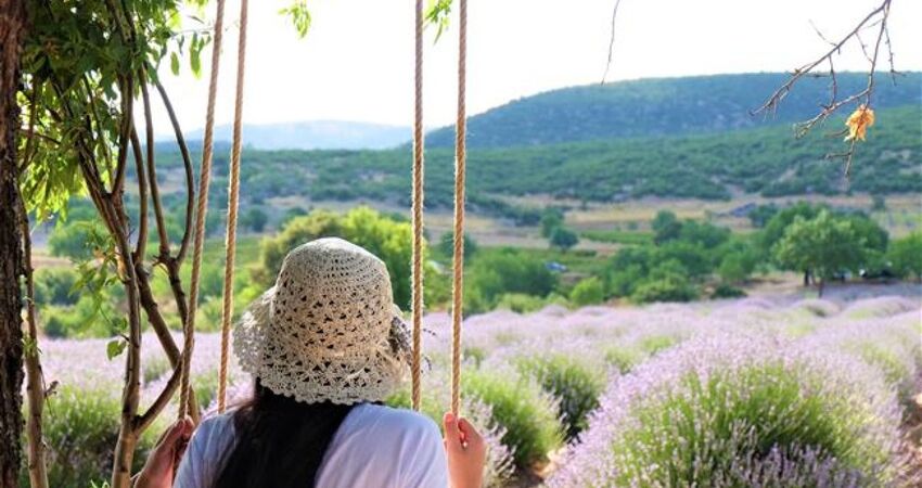 ISPARTA LAVANTA FESTİVALİ TURU