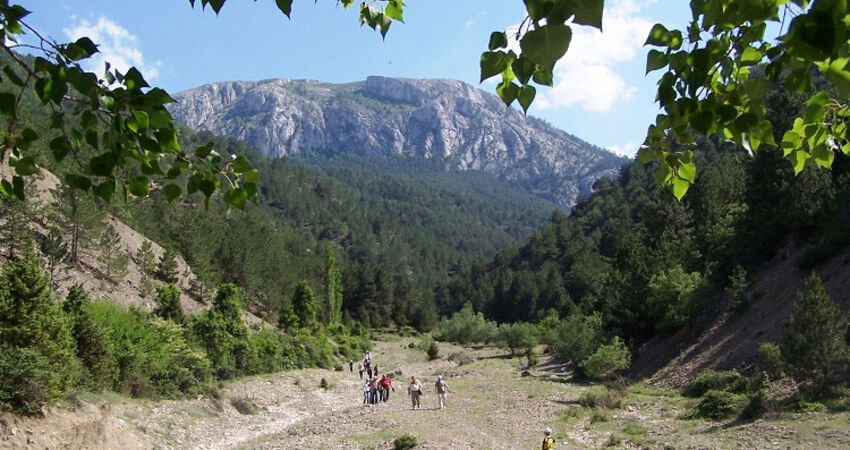 KIZILCAHAMAM YÜRÜYÜŞ TURU GÜNÜBİRLİK