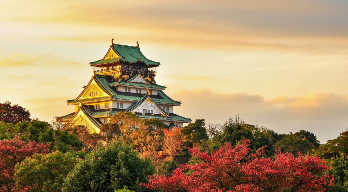 THY ILE GRAND JAPONYA KORE TURU