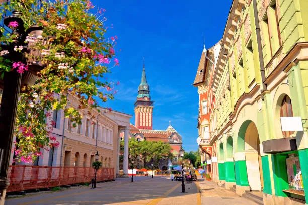 ANKARA HAREKETLİ VİVA ORTA AVRUPA VE HALLSTAT