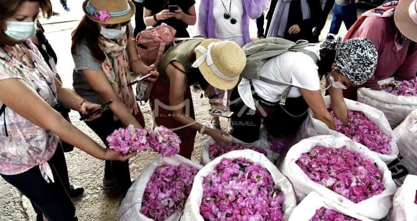 GÜL HASADI / SALDA GÖLÜ / İNSUYU MAĞARASI / PAMUKKALE TRAVENTERLERİ / HİERAPOLİS TURU