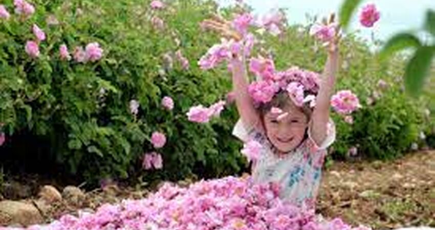 GÜL HASADI / SALDA GÖLÜ / İNSUYU MAĞARASI / PAMUKKALE TRAVENTERLERİ / HİERAPOLİS TURU