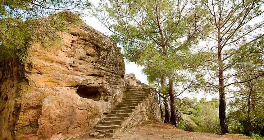 ÇANAKKALE - ASSOS - TRUVA - KAZDAĞLARI TURU