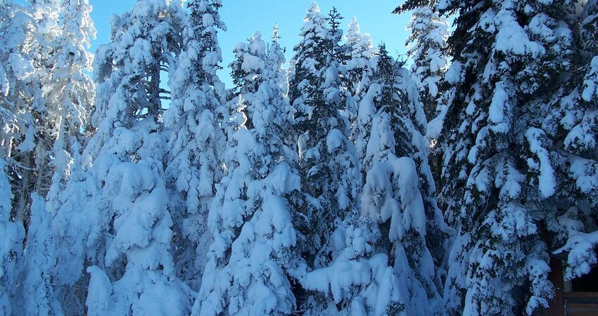 ILGAZ KAYAK TURU GÜNÜBİRLİK 
