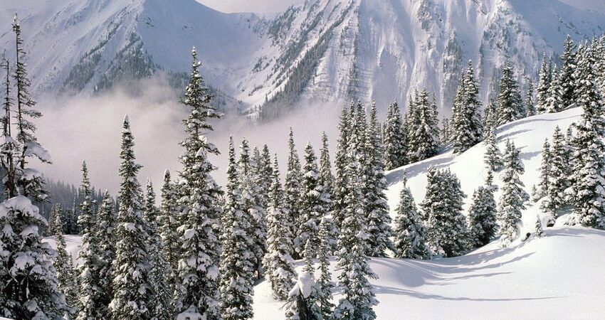 ILGAZ KAYAK TURU  1 GECE KONAKLAMLI
