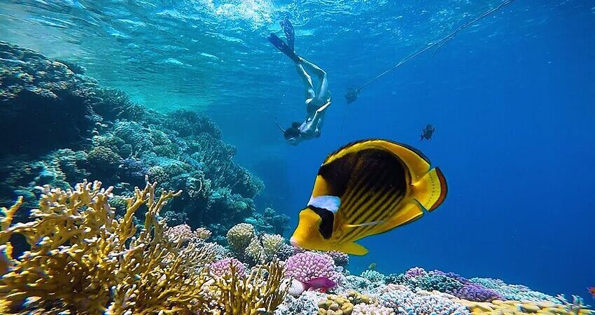 Ankara Hareketli Kahire Sharm El Sheikh Turu (4 Gece)